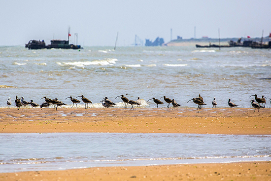 点此在新窗口浏览图片